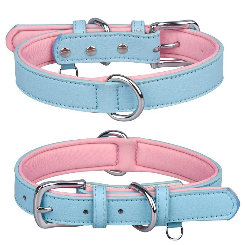 Pet Collar